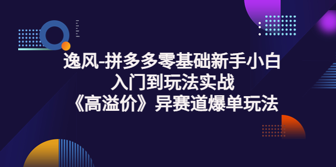 【副业项目3877期】逸风-拼多多新手小白入门到玩法实战，异赛道爆单玩法实操课-小白副业网