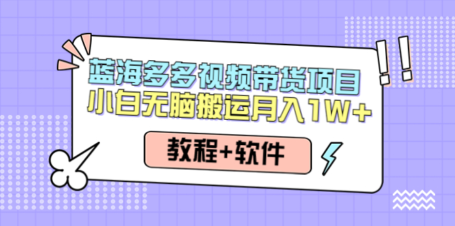 【副业项目4612期】人人都能操作的蓝海多多视频带货项目 小白无脑搬运月入10000+（教程+软件）-小白副业网