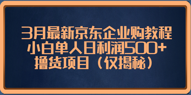 【副业项目5406期】3月最新京东企业购教程，小白单人日利润500+撸货项目（仅揭秘）-小白副业网