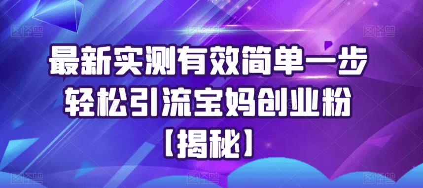 【副业项目6204期】最新实测有效简单一步轻松引流宝妈创业粉【揭秘】缩略图