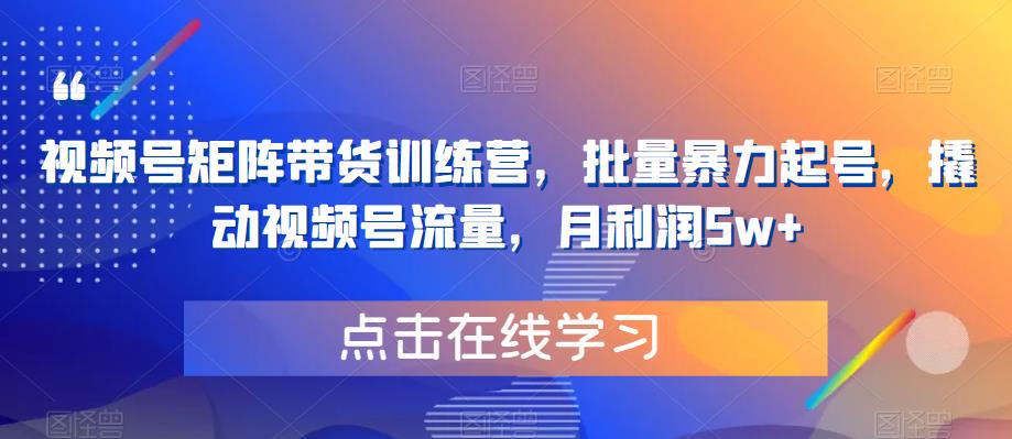 【副业项目6254期】视频号矩阵带货训练营，批量暴力起号，撬动视频号流量，月利润5w+-小白副业网