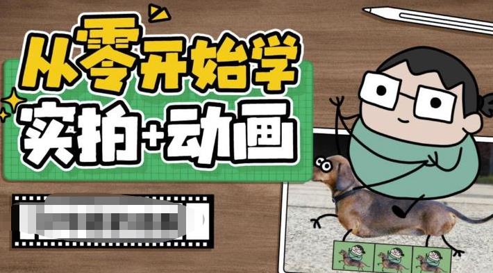 【副业项目6738期】从零开始学实拍加动画，实拍加动画创意教程（49节视频课）缩略图