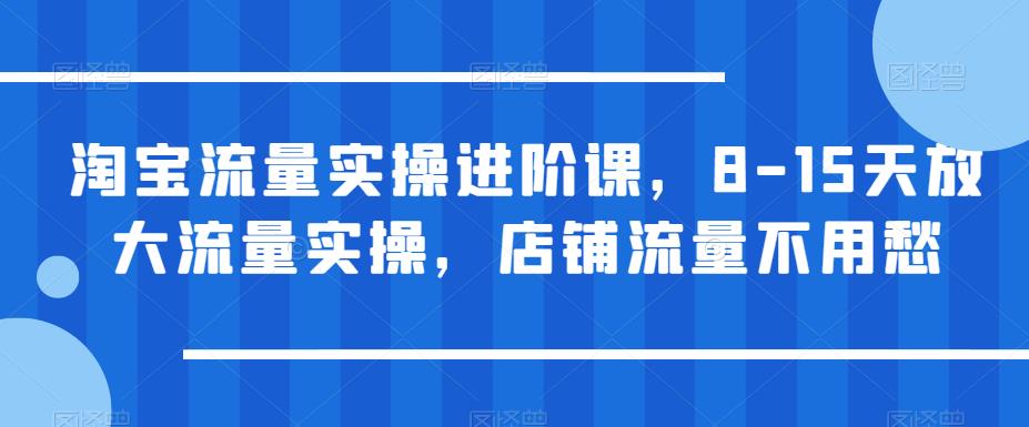 【副业项目6415期】淘宝流量实操进阶课，8-15天放大流量实操，店铺流量不用愁缩略图