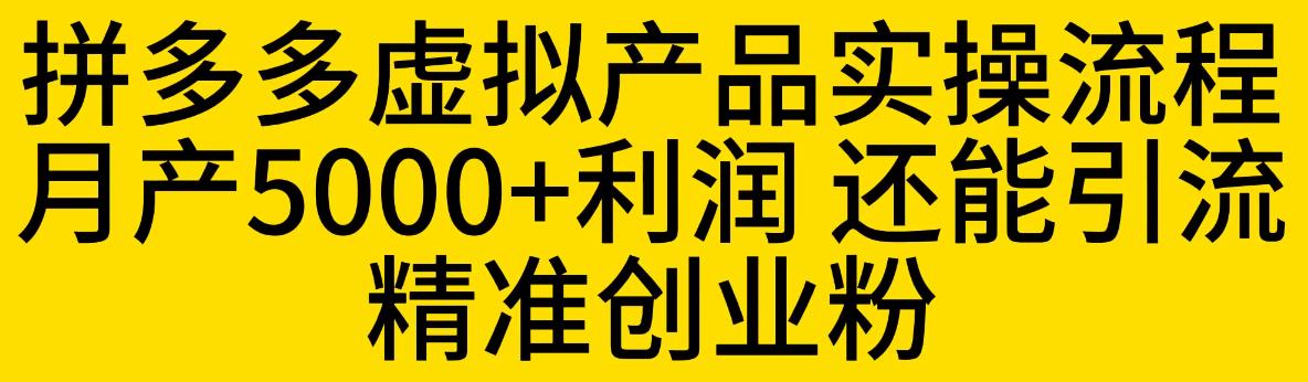 【副业项目6569期】拼多多虚拟产品实操流程，月产5000+利润，还能引流精准创业粉缩略图