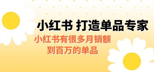 【副业项目6703期】某公众号付费文章《小红书打造单品专家》小红书有很多月销额到百万的单品-小白副业网