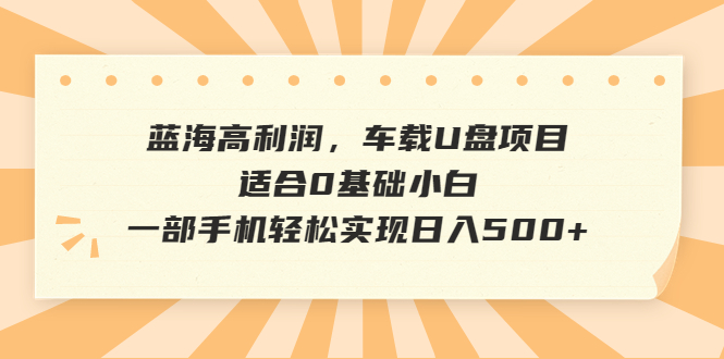 【副业项目6800期】蓝海高利润，车载U盘项目，适合0基础小白，一部手机轻松实现日入500+-小白副业网