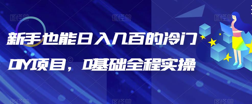 【副业项目6865期】新手也能日入几百的冷门DIY项目，0基础全程实操【揭秘】缩略图