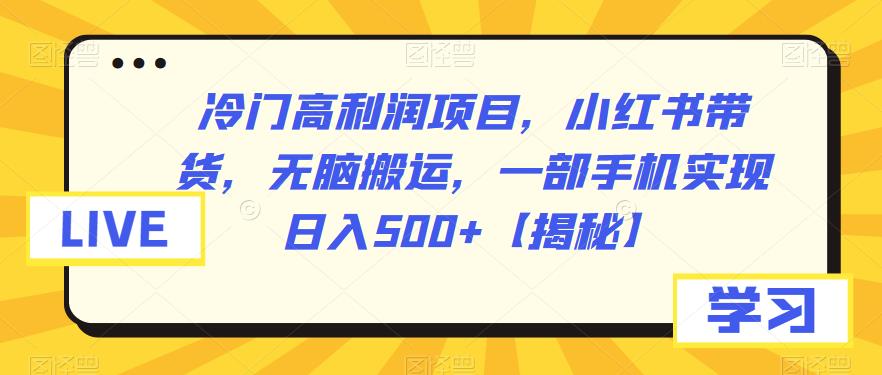 【副业项目6875期】冷门高利润项目，小红书带货，无脑搬运，一部手机实现日入500+【揭秘】缩略图