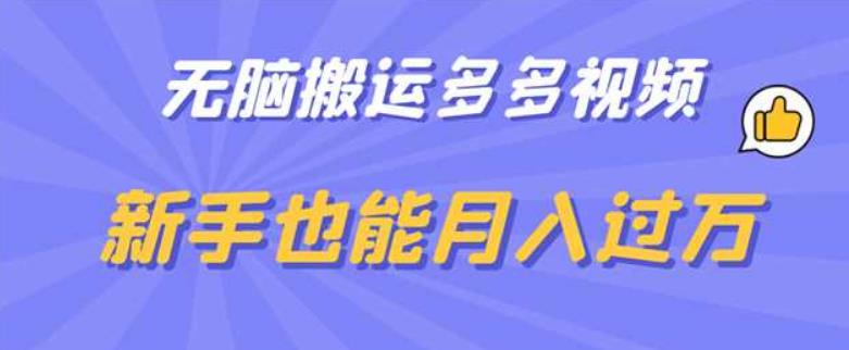 【副业项目6853期】无脑搬运多多视频，新手也能月入过万【揭秘】缩略图