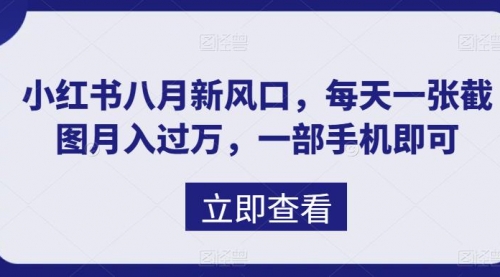 【副业项目7078期】八月新风口，小红书虚拟项目一天收入1000+缩略图