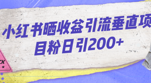 【副业项目7194期】小红书晒收益图引流垂直项目粉日引200+缩略图