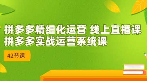 【副业项目7292期】2023年新课-拼多多精细化运营-小白副业网