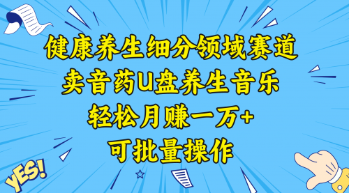 【副业项目8638期】健康养生细分领域赛道，卖音药U盘养生音乐，轻松月赚一万+，可批量操作-小白副业网