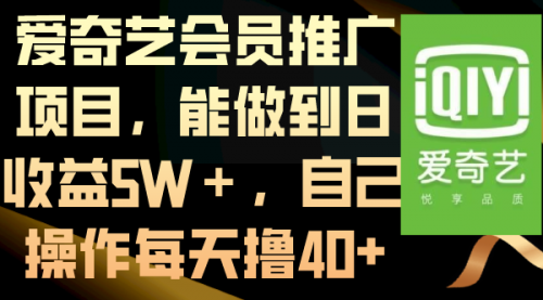 【副业8764期】爱奇艺会员推广项目，能做到日收益5W＋缩略图