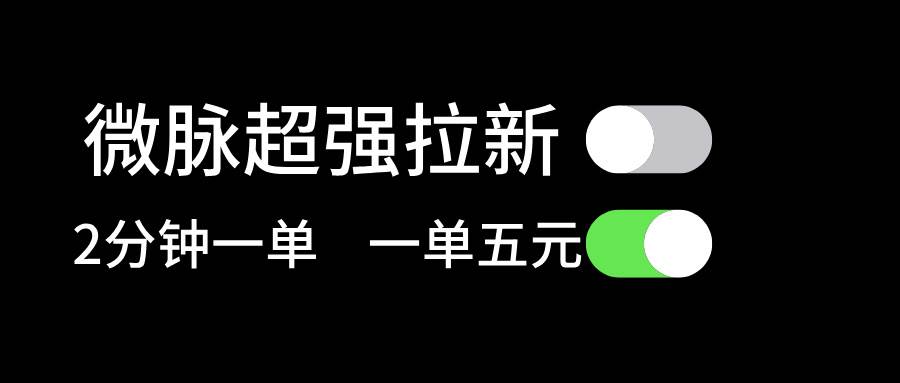 微脉超强拉新， 两分钟1单， 一单利润5块，适合小白-小白副业网