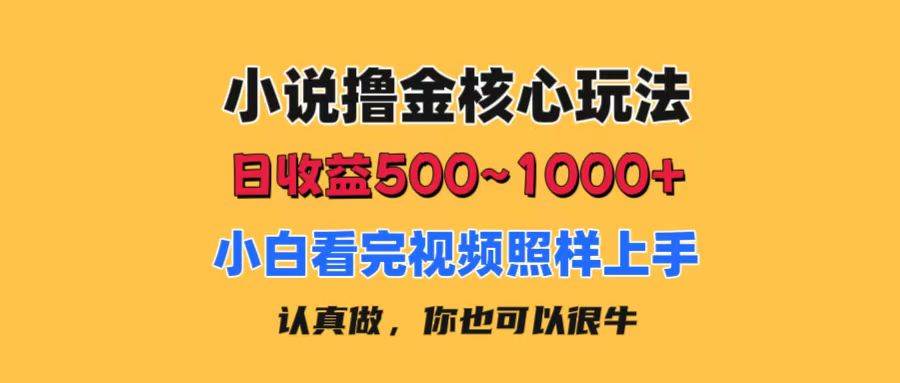 小说撸金核心玩法，日收益500-1000+，小白看完照样上手，0成本有手就行-小白副业网