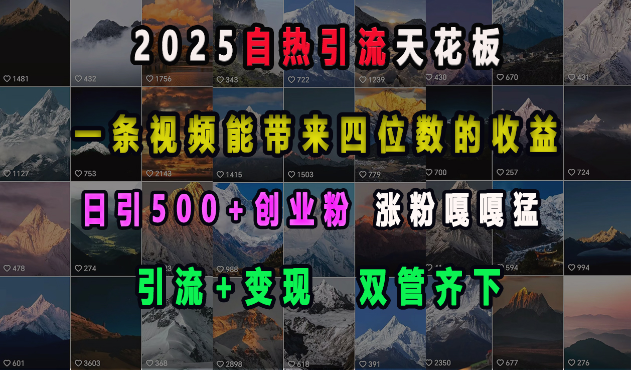 2025自热引流天花板，一条视频能带来四位数的收益，引流+变现双管齐下，日引500+创业粉，涨粉嘎嘎猛-小白副业网