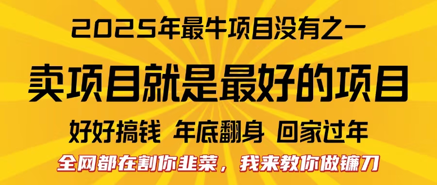 全网都在割你韭菜，我来教你做镰刀。卖项目就是最好的项目，2025年最牛互联网项目-小白副业网