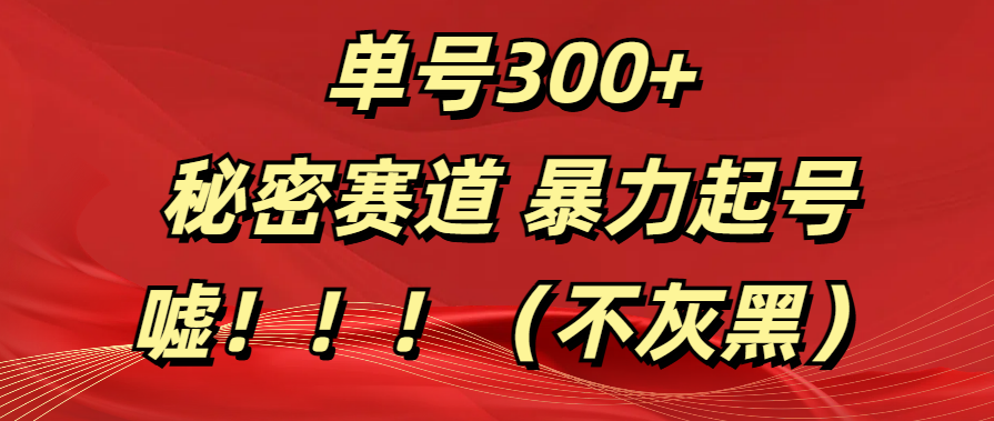 单号300+  秘密赛道 暴力起号  （不灰黑）-小白副业网