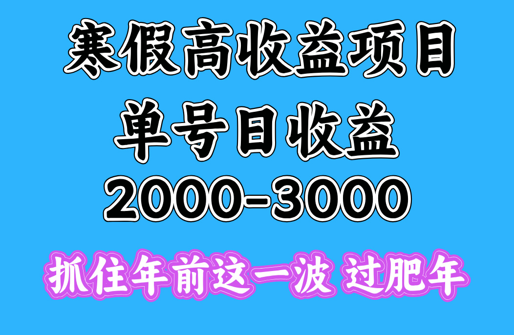 寒假期间一天收益2000-3000+，抓住年前这一波-小白副业网