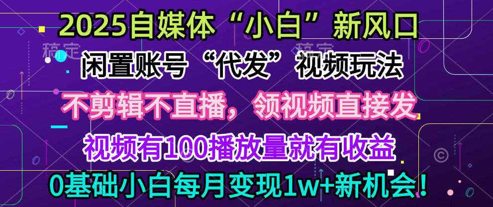 2025每月躺赚5w+新机会，闲置视频账号一键代发玩法，0粉不实名不剪辑，领了视频直接发，0基础小白也能日入300+-小白副业网