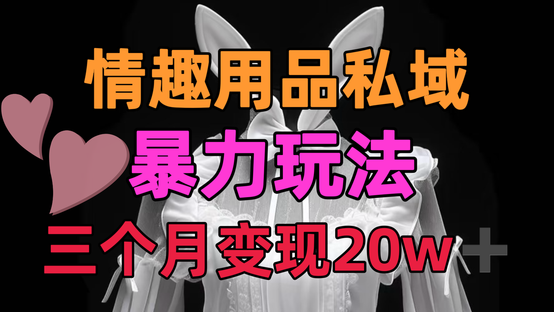 情趣用品私域，25年最新暴力玩法，三个月变现20w➕-小白副业网