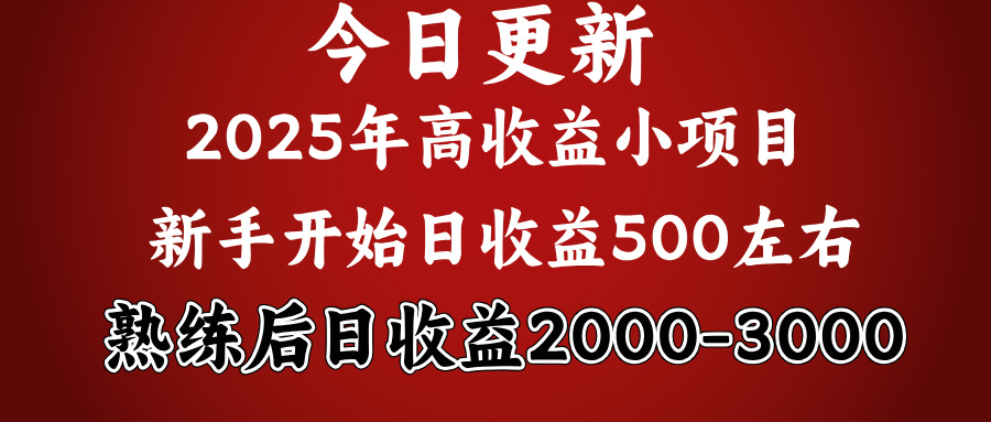 2025开年好项目，新手日收益500+ 熟练掌握后，日收益平均2000多-小白副业网