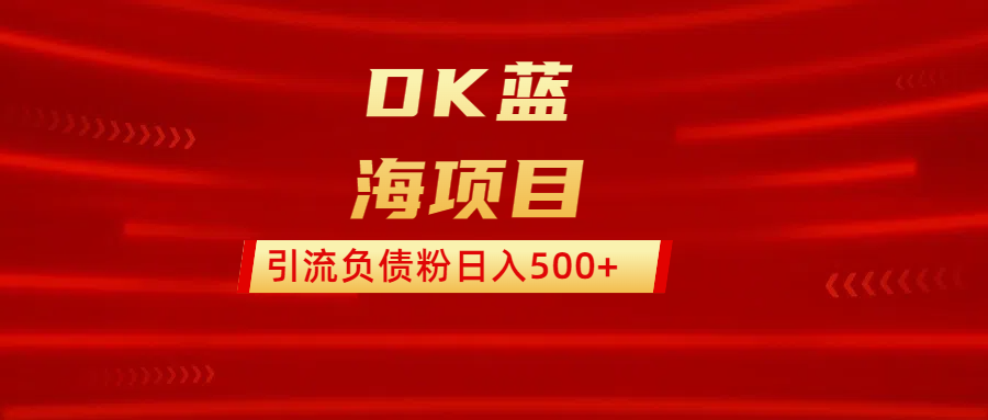 DK蓝海项目  通过，抖音，快手，小红书，引流负债粉日入500+-小白副业网