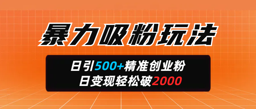 暴力吸粉玩法，日引500+精准创业粉，日变现轻松破2000-小白副业网